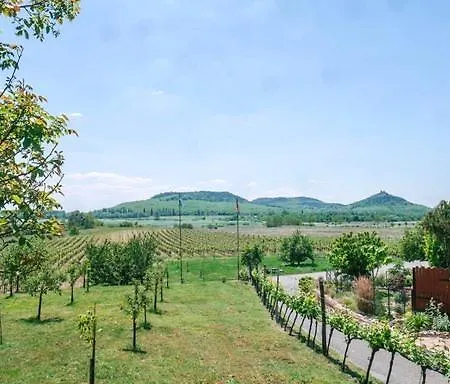 Bora Vendeghaz * Raposka